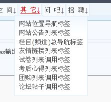 4.1.12 其它標(biāo)簽 kesion 專注新教育技術(shù)服務(wù)商 在線教育系統(tǒng) 內(nèi)容付費(fèi)系統(tǒng) 免費(fèi)在線網(wǎng)校系統(tǒng)平臺(tái) 在線課堂系統(tǒng) 知識(shí)付費(fèi)系統(tǒng) 在線考試系統(tǒng)及建站cms提供服務(wù)商